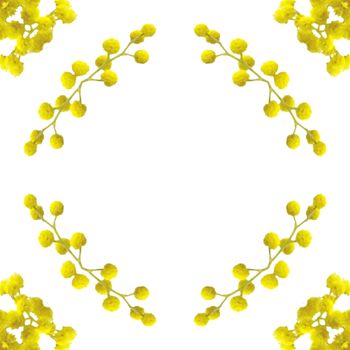 an abstract kaleidoscope background on white background