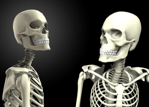 Two skeletons that are looking at each other.