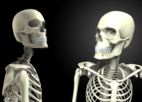 Two skeletons that are looking at each other.