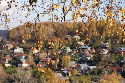 Yellow leaf nature color autumn image