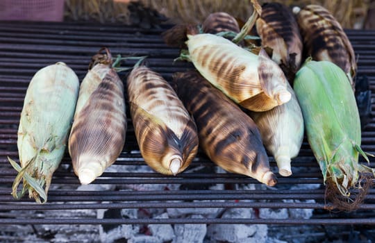 Roasted sweet corns on the grill