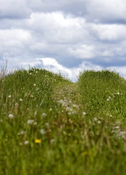 Green Hill towards blue sky at summer