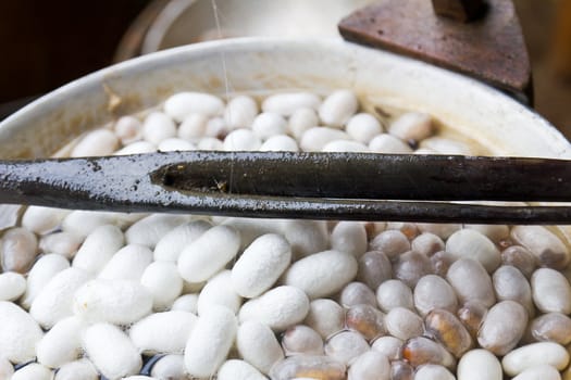 Boiling cocoon in a pot to prepare a cocoon silk.