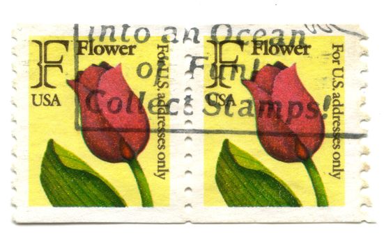 Old postage stamps from USA flowers Tulip