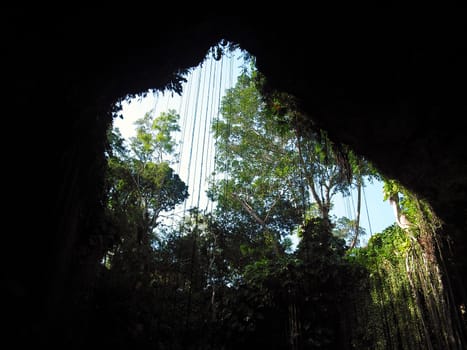 Looking out of a cenote