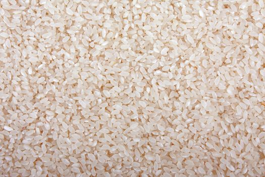 Healthy eating cereal food - raw white asian rice