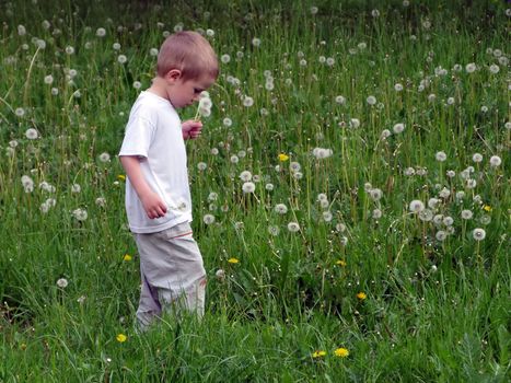 Little beautiful child with flower on grass