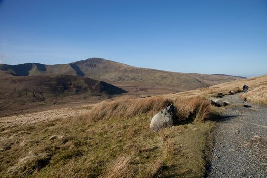 A mountain footpath with mountain bikers aproaching in the distance.