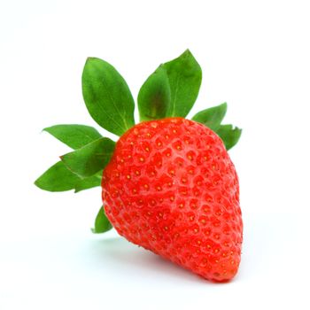 one strawberry isolated on white