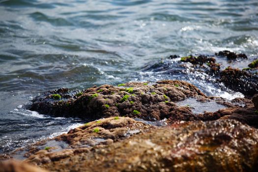 sea and rock