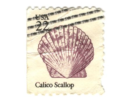 US postage stamp on white background 22c - Calico Scallop