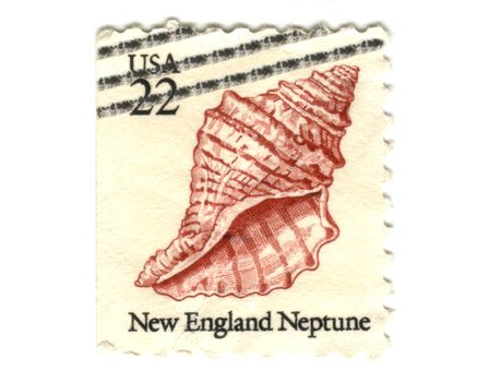 US postage stamp on white background 22c - New England Neptune