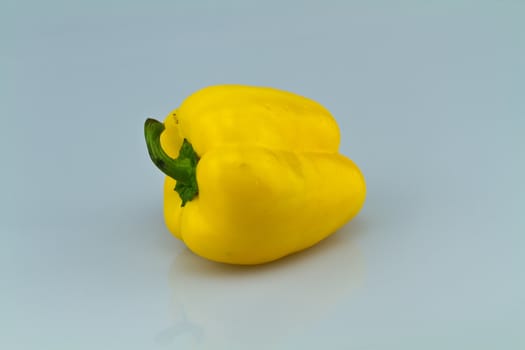 yellow capsicum isolated on bluish background