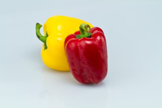 Red and yellow capsicums isolated on bluish background