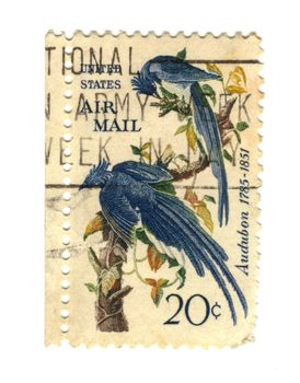 Old postage stamps from USA with two birds -