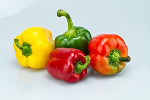 Four different colors capsicums on bluish background in landscape orientation
