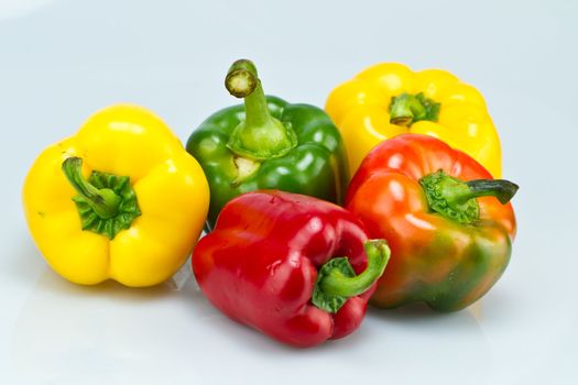 five different colors capsicums on bluish background in landscape orientation