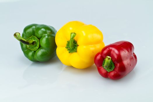 three color whole capsicums on bluish surface and background