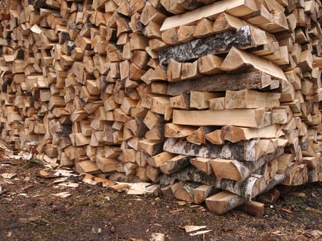 birch firewood stacked in the woodpile