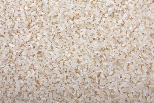 Healthy eating cereal food - raw white asian rice