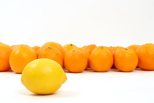 lemon and oranges on a white background symbolizing teamwork, leadership.