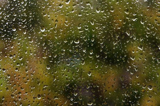 Wet glass window rain water drop textured pattern