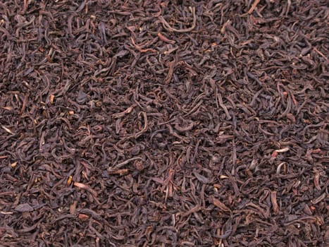 Black tea crop leaf for healthy lifestyle drink