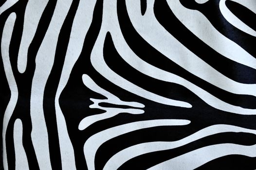 Detail of a zebra skin. Suitable as an abstract wildlife background.