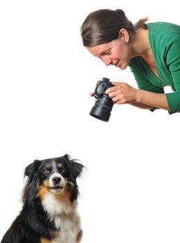 A young woman taking photographs of a dog, isolated on white. Space for text.