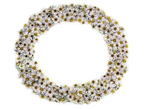 White nature chamomile flower background frame