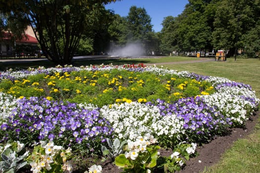 Ventspils, Latvia City park with big flowerbed