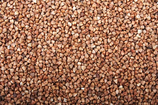 Healthy eating cereal food - brown buckwheat seed