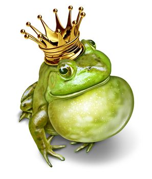 Frog prince with gold crown and an inflated throat representing the fairy tale concept of communication [change and transformation from an amphibian to royalty.