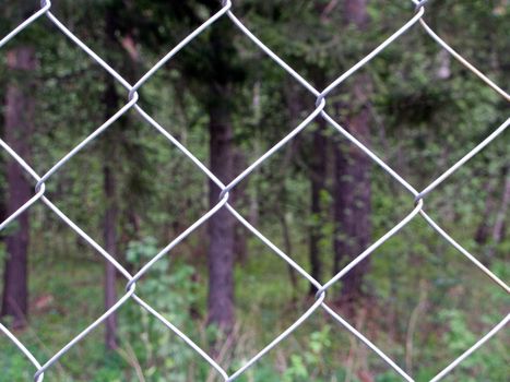 Barbed wire fence for security protection