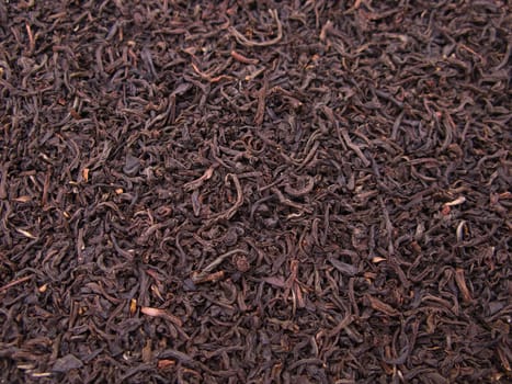 Black tea crop leaf for healthy lifestyle drink