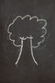tree sketche on school board