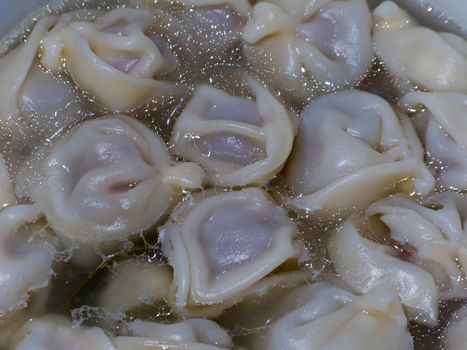 Meat dumpling pelmeni food steamed for dinner meal