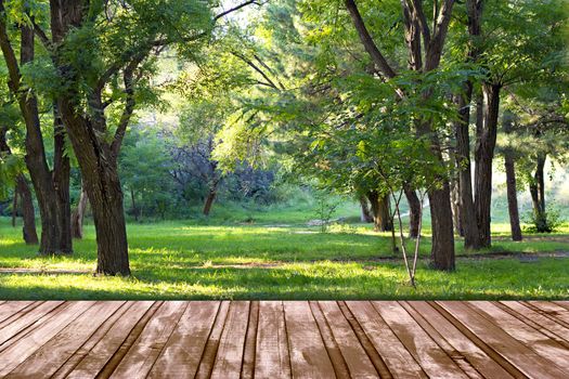 wooden podium, coming in autumn park