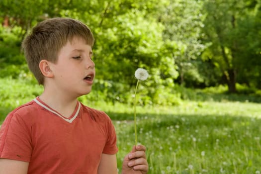 little boy blows on a dandelion against park
