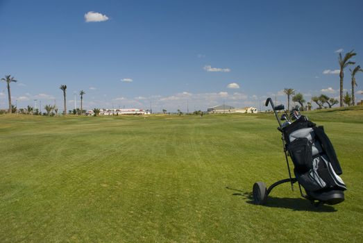 Golf bag on the course