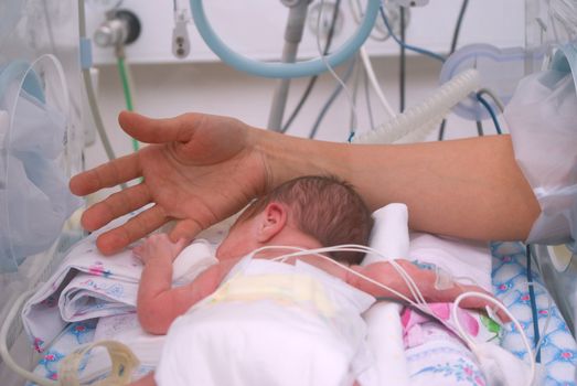 Hand of the physician and newborn in incubator  in hospital