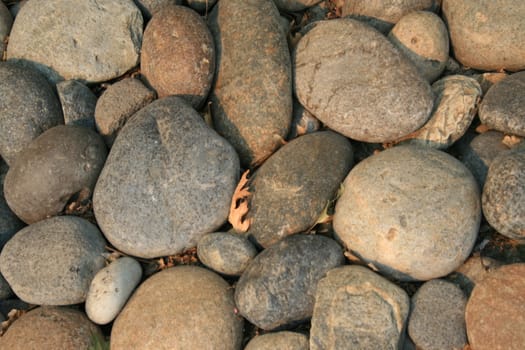 Close up of stones showing unique pattern.
