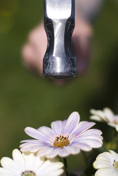 Hammer nailing flower to the ground!