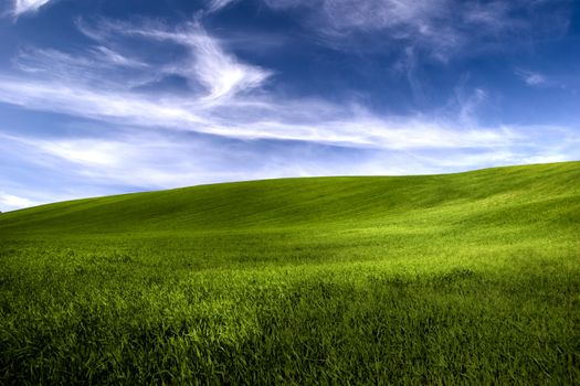 Beautiful green meadow with a bright blue sky