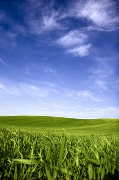 Beautiful green meadow with a bright blue sky