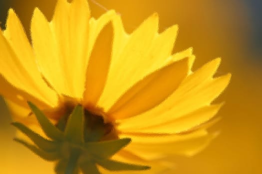 Yelow flower