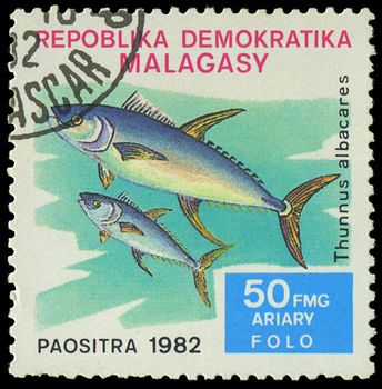 MALAGASY - CIRCA 1982:Stamp shows image of a Thunnus albacares, circa 1982