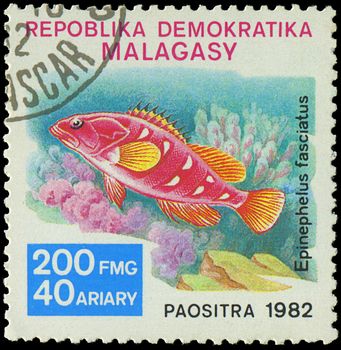 MALAGASY - CIRCA 1982:Stamp shows image of a Epinephelus fasciatus, circa 1982