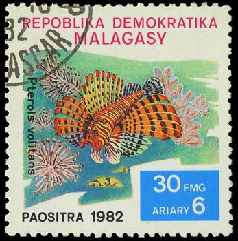 MALAGASY - CIRCA 1982:Stamp shows image of a Pterois volitans, circa 1982