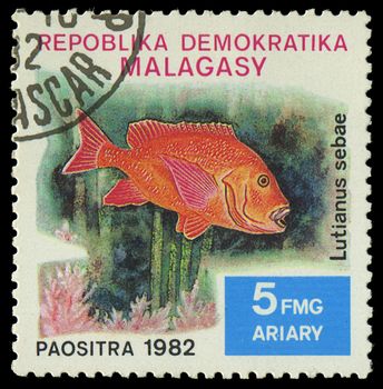 MALAGASY - CIRCA 1982:Stamp shows image of a Lutianus sebae, circa 1982